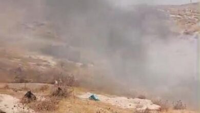 مستوطنون يحرقون نحو 55 شجرة زيتون في بلدة أبو ديس