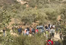 مستوطنون يهاجمون بلدة ترمسعيا