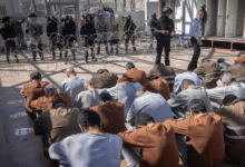 في اليوم العالمي لمناهضة الإعدام.. مؤسسات الأسرى: قانون إعدام الأسرى يشرعن التصفية وندعو لتحرك دولي عاجل