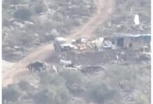 مستوطنون يقيمون بؤرة استيطانية جديدة شرق سلفيت