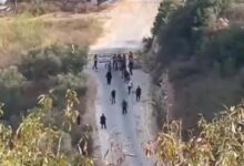 الاحتلال يمنع المزارعين من قطف ثمار الزيتون في كفر نعمة غرب رام الله