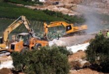 جرافات الاحتلال تشرع بتجريف أراضٍ واقتلاع أشجار زيتون في عنزا جنوب جنين