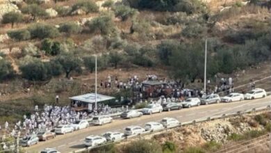 مستوطنون يقتحمون واد ريا شمال غرب رام الله بحماية قوات الاحتلال ويغلقون عدة شوارع