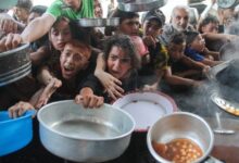 الأمم المتحدة تحذر من تفاقم انعدام الأمن الغذائي في غزة