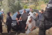 الاحتلال يقتحم أراضي وادي الربابة في سلوان ويُصادر ثمار الزيتون