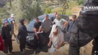الاحتلال يقتحم أراضي وادي الربابة في سلوان ويُصادر ثمار الزيتون