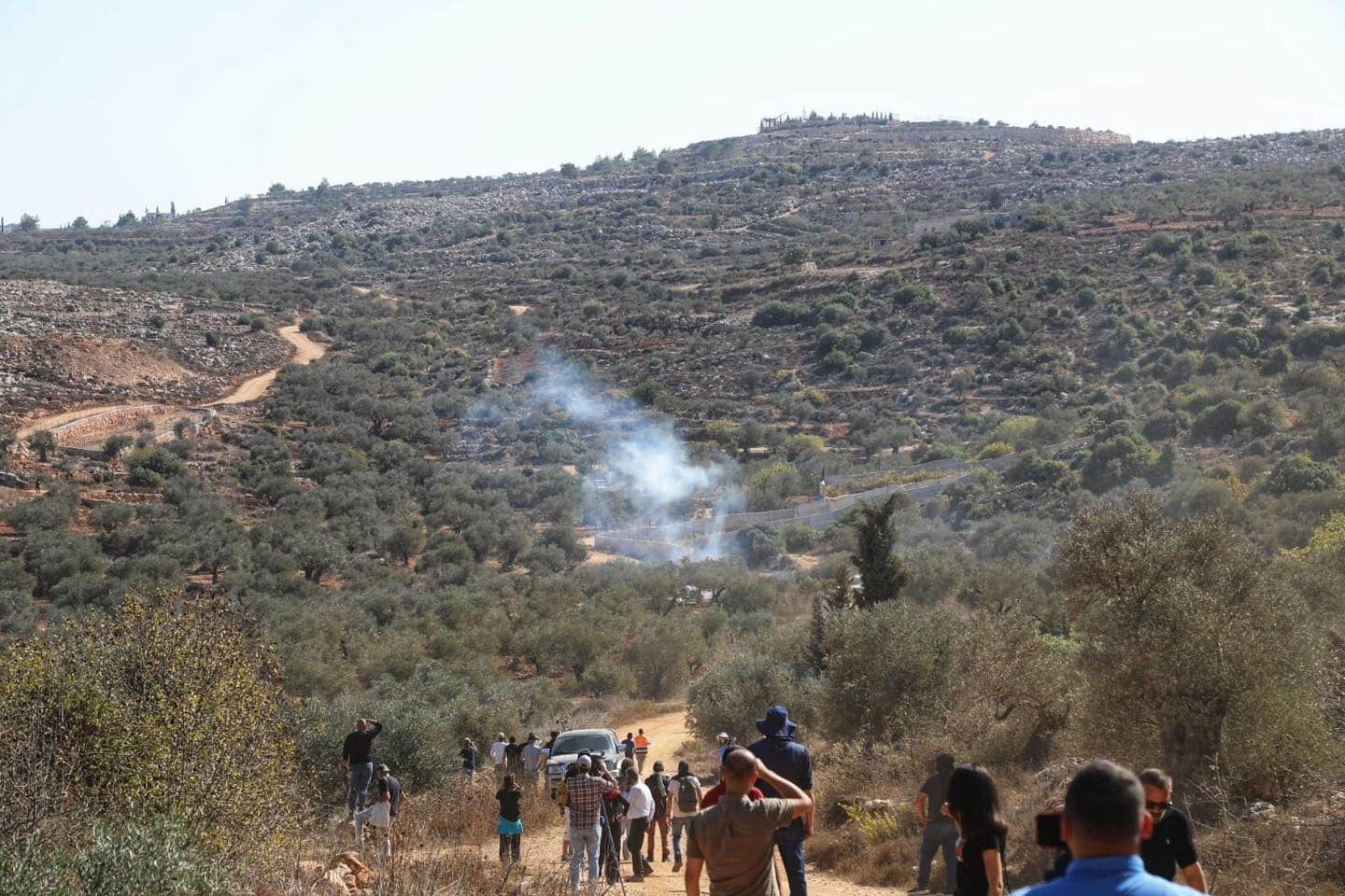 “الجدار والاستيطان”: 409 اعتداءات للاحتلال والمستوطنين على موسم الزيتون خلال ثلاثة أسابيع