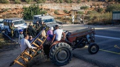 الاحتلال يمنع المزارعين من قطغ ثمار الزيتون في بلدة بيتا جنوب نابلس