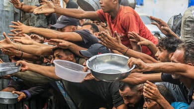 برنامج الأغذية العالمي: وقف المساعدات لنحو نصف مليون شخص في قطاع غزة بسبب نقص التمويل