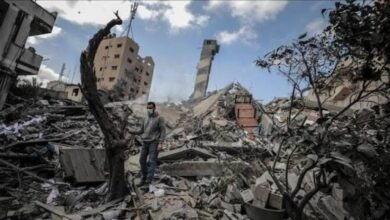 مقررة أممية: لا يمكن البدء بإعادة إعمار غزة دون زوال الاحتلال