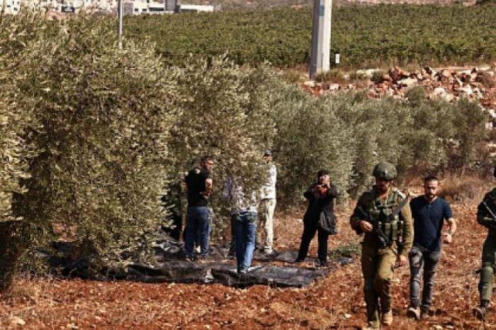 الاحتلال يجبر المزارعين على مغادرة أراضيهم في دير أبو ضعيف شرق جنين