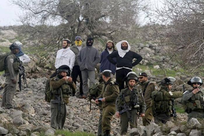 “مقاومة الجدار”: 7 اعتداءات للاحتلال والمستوطنين على المزارعين في 4 محافظات بالضفة