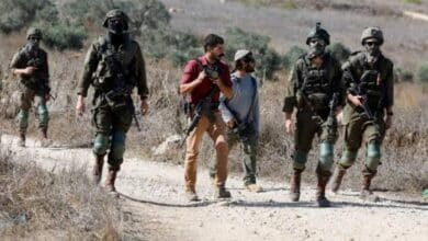 19 اعتداء للاحتلال والمستوطنين على قاطفي الزيتون بالضفة
