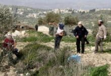 إصابة مواطن باعتداء مستوطنين عليه بالضرب في سبسطية شمال غرب نابلس