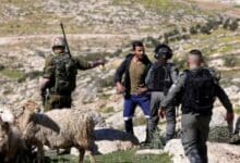 مستوطنون يقتحمون تجمع وادي أبو هندي ويستولون على 130 رأساً من الأغنام