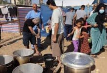 مسؤولة أممية: انعدام الأمن الغذائي يتزايد في قطاع غزة