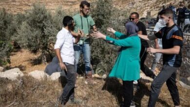 الاردن يدين اعتداءات المستوطنين على وفد دبلوماسي أوروبي ومزارعين فلسطينيين في الضفة