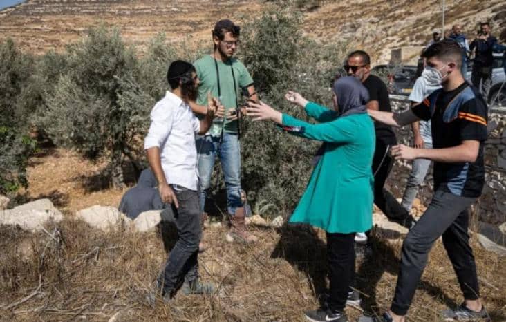 الاردن يدين اعتداءات المستوطنين على وفد دبلوماسي أوروبي ومزارعين فلسطينيين في الضفة