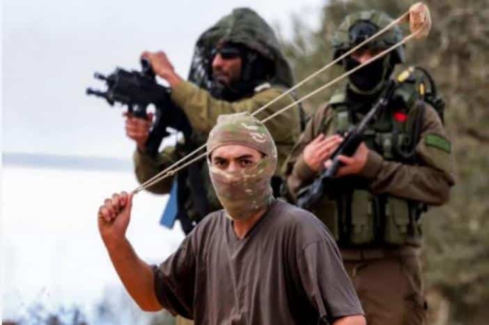 مقاومة الجدار”: 19 اعتداء للاحتلال ومستوطنيه على قاطفي الزيتون في 6 محافظات