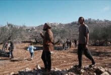 مستوطنون يهاجمون قاطفي الزيتون في اللبن الشرقية