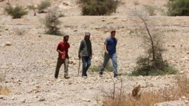 مستوطنون يقتحمون تجمع معازي جبع شمال القدس