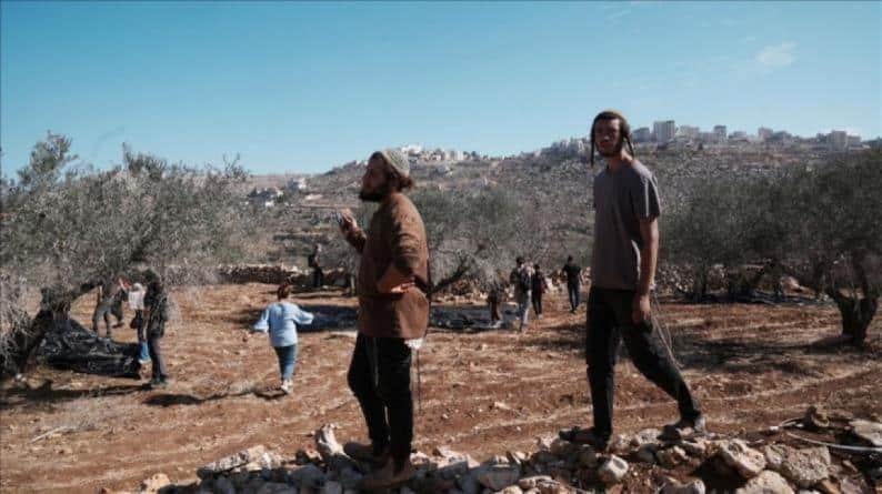 مستوطنون يهاجمون قاطفي الزيتون في بيت كاحل ويضعون أعلاما إسرائيلية على أراضٍ في وادي القف