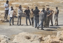 " مقاومة الجدار والاستيطان": 13 اعتداء على المزارعين وأراضيهم وممتلكاتهم في 4 محافظات اليوم