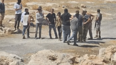 " مقاومة الجدار والاستيطان": 13 اعتداء على المزارعين وأراضيهم وممتلكاتهم في 4 محافظات اليوم